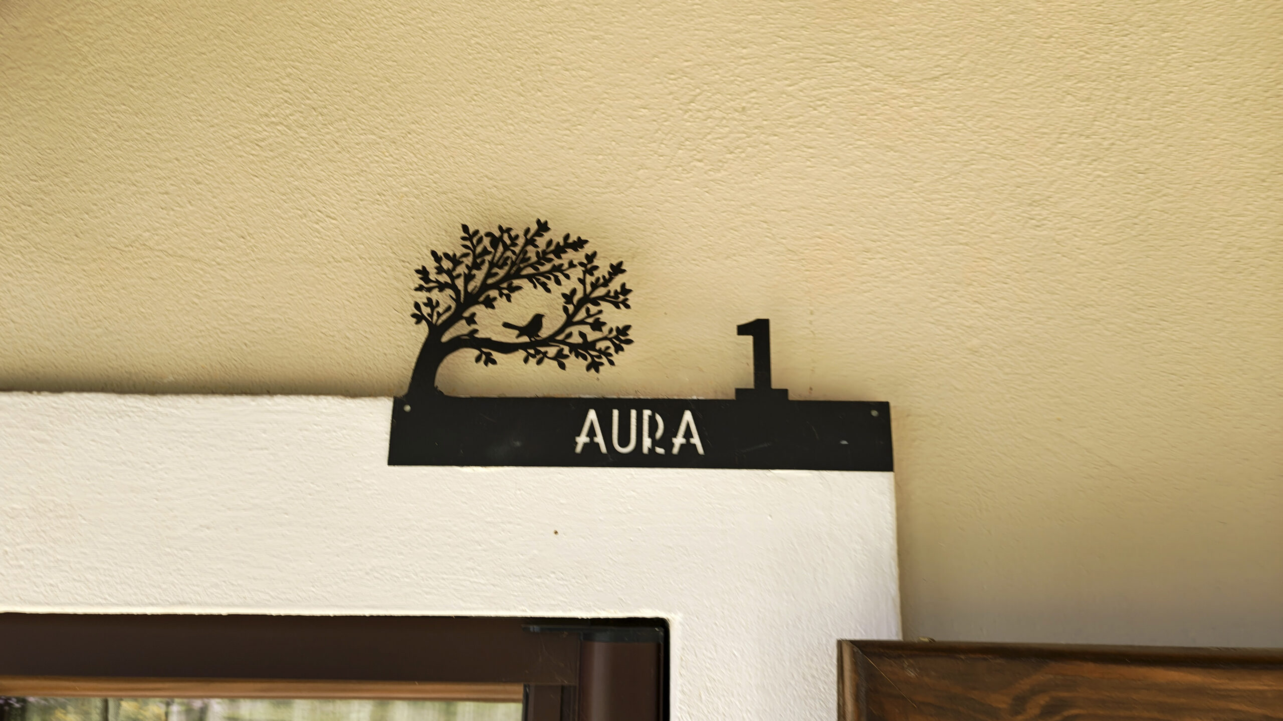 AURA_105